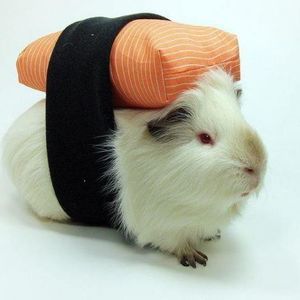 Meet your Posher, Brittney